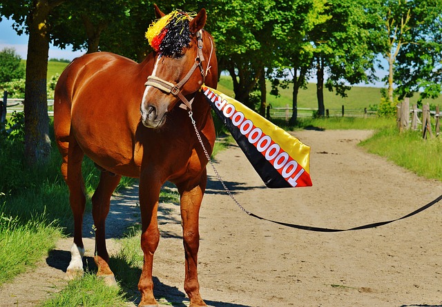 为俱乐部的 为俱乐部的