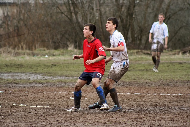 整也为许多 整也为许多