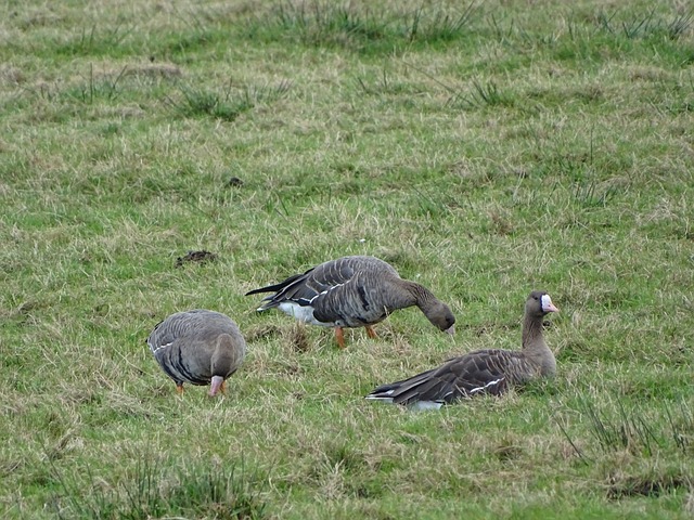 显著提升 显著提升