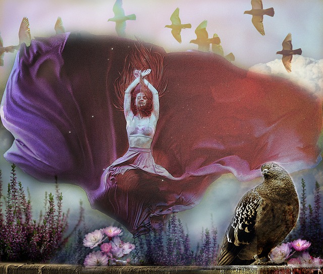 赛季完全统 赛季完全统