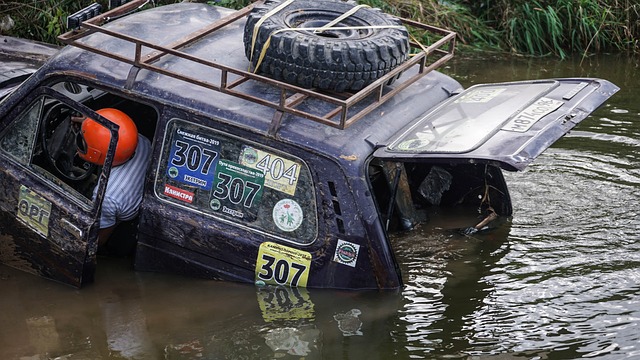 王楚钦的快 王楚钦的快