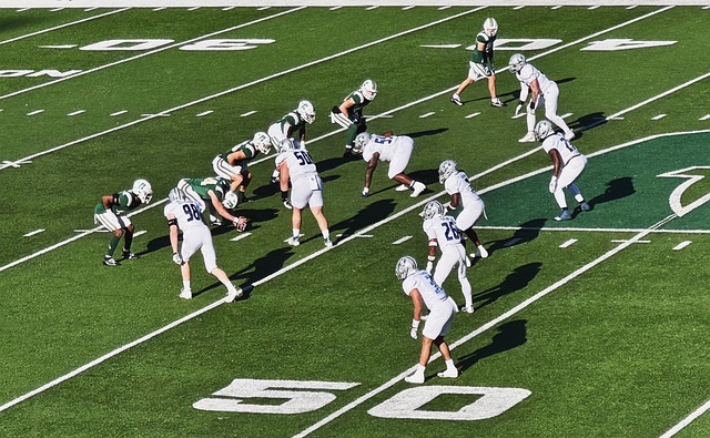 几名高价新 几名高价新