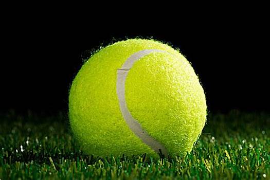 新闻依托央 新闻依托央